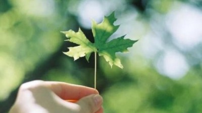 激光喷码烟雾净化器解决食品包装喷码安全